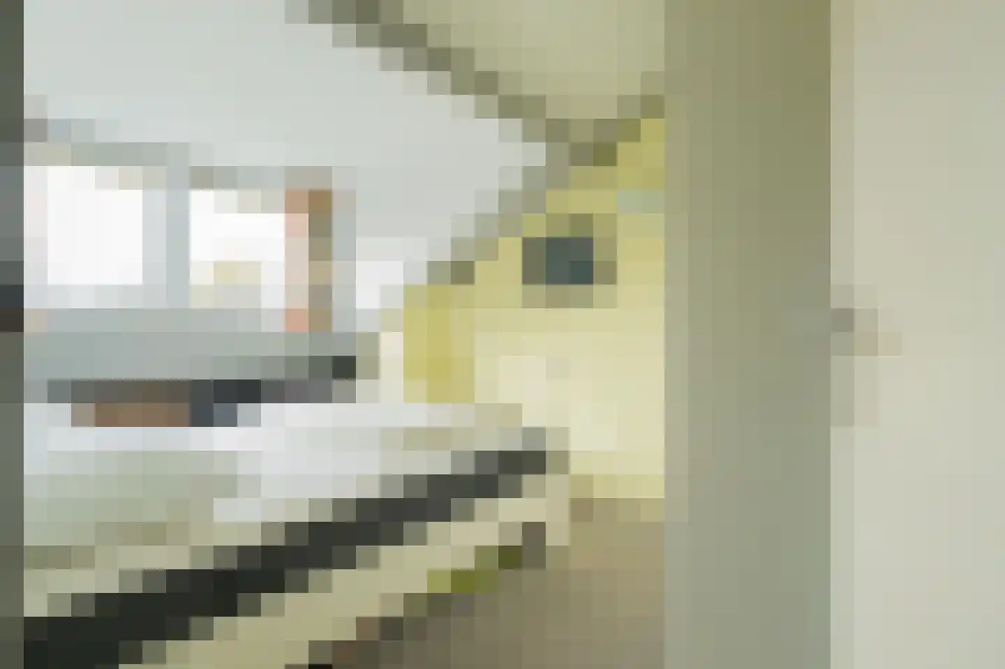 Hoogerwerfsweg "De Tong" 132 Bruinisse thumbnail 19