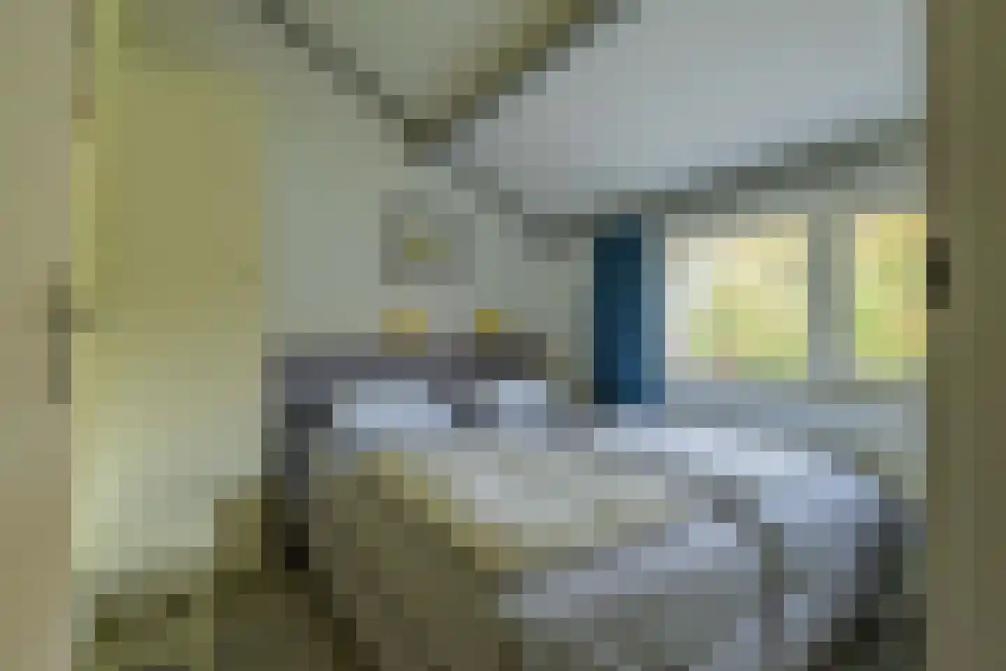 Hoogerwerfsweg "De Tong" 132 Bruinisse thumbnail 22