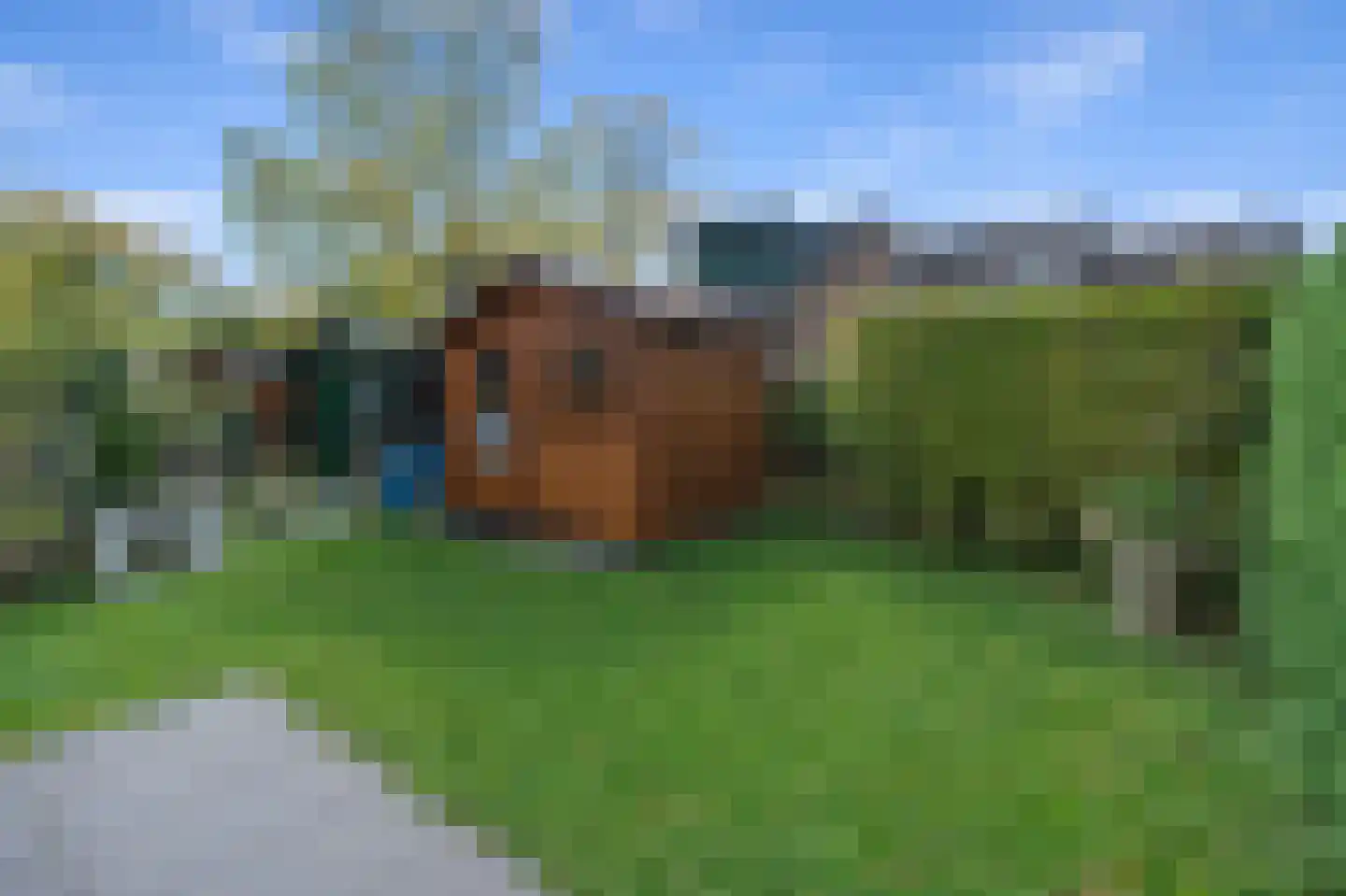 Hoogerwerfsweg "De Tong" 132 Bruinisse thumbnail 29