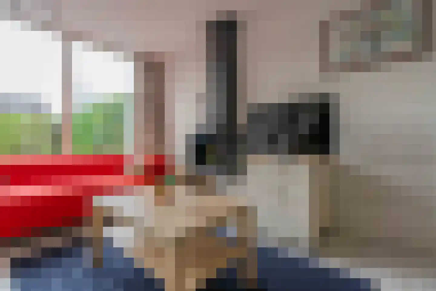 Hoogerwerfsweg "De Tong" 132 Bruinisse thumbnail 6