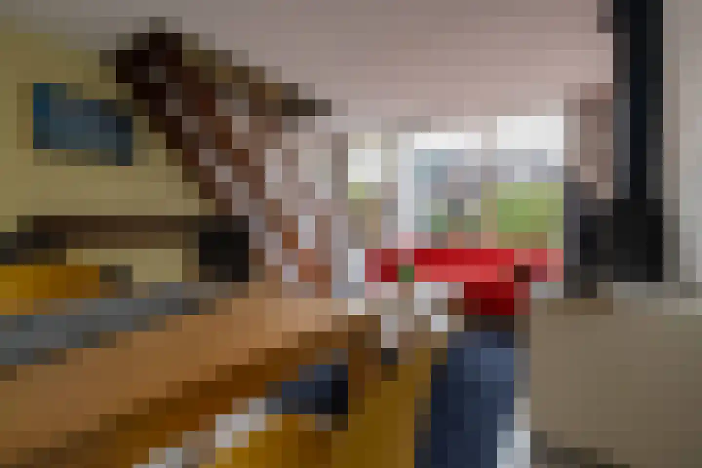 Hoogerwerfsweg "De Tong" 132 Bruinisse thumbnail 7