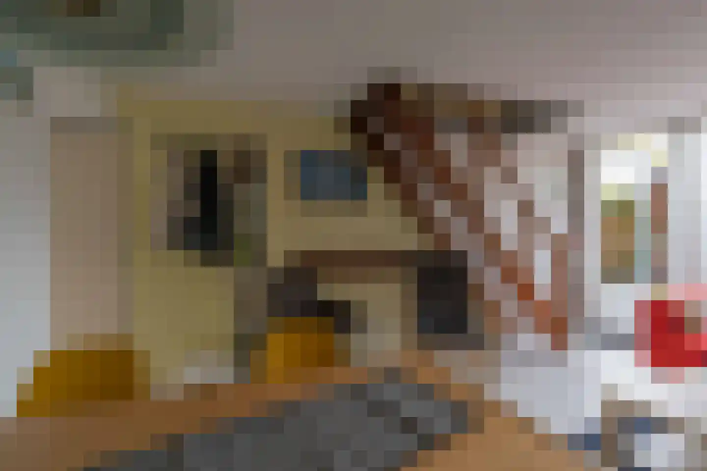 Hoogerwerfsweg "De Tong" 132 Bruinisse thumbnail 8