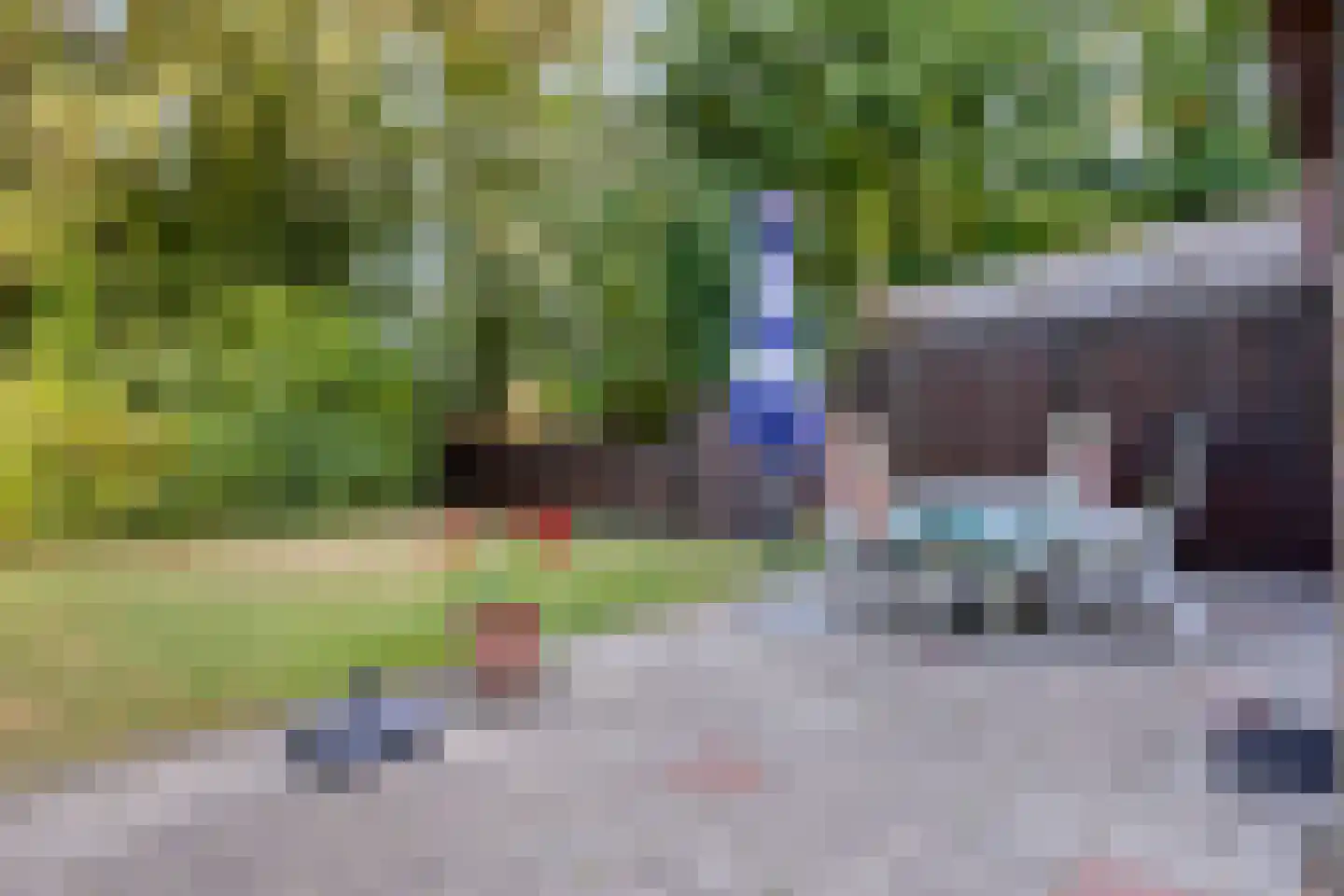 Hoogerwerfsweg "De Tong" 136 Bruinisse thumbnail 18