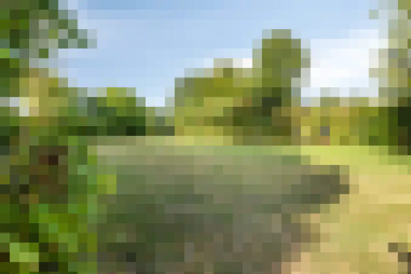 Hoogerwerfsweg "De Tong" 136 Bruinisse thumbnail 21