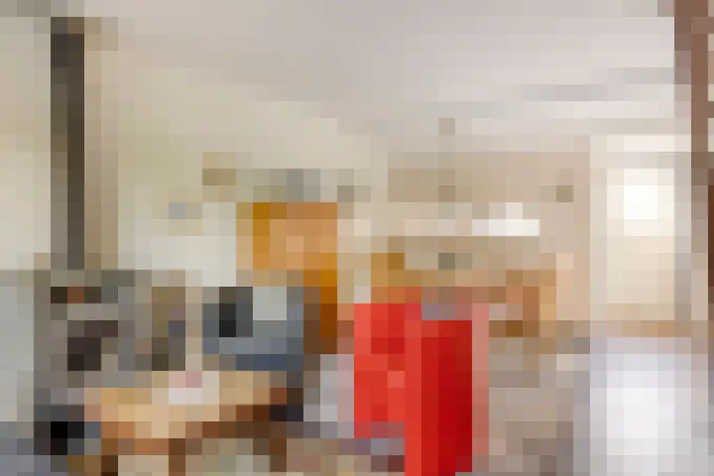 Hoogerwerfsweg "De Tong" 136 Bruinisse thumbnail 7