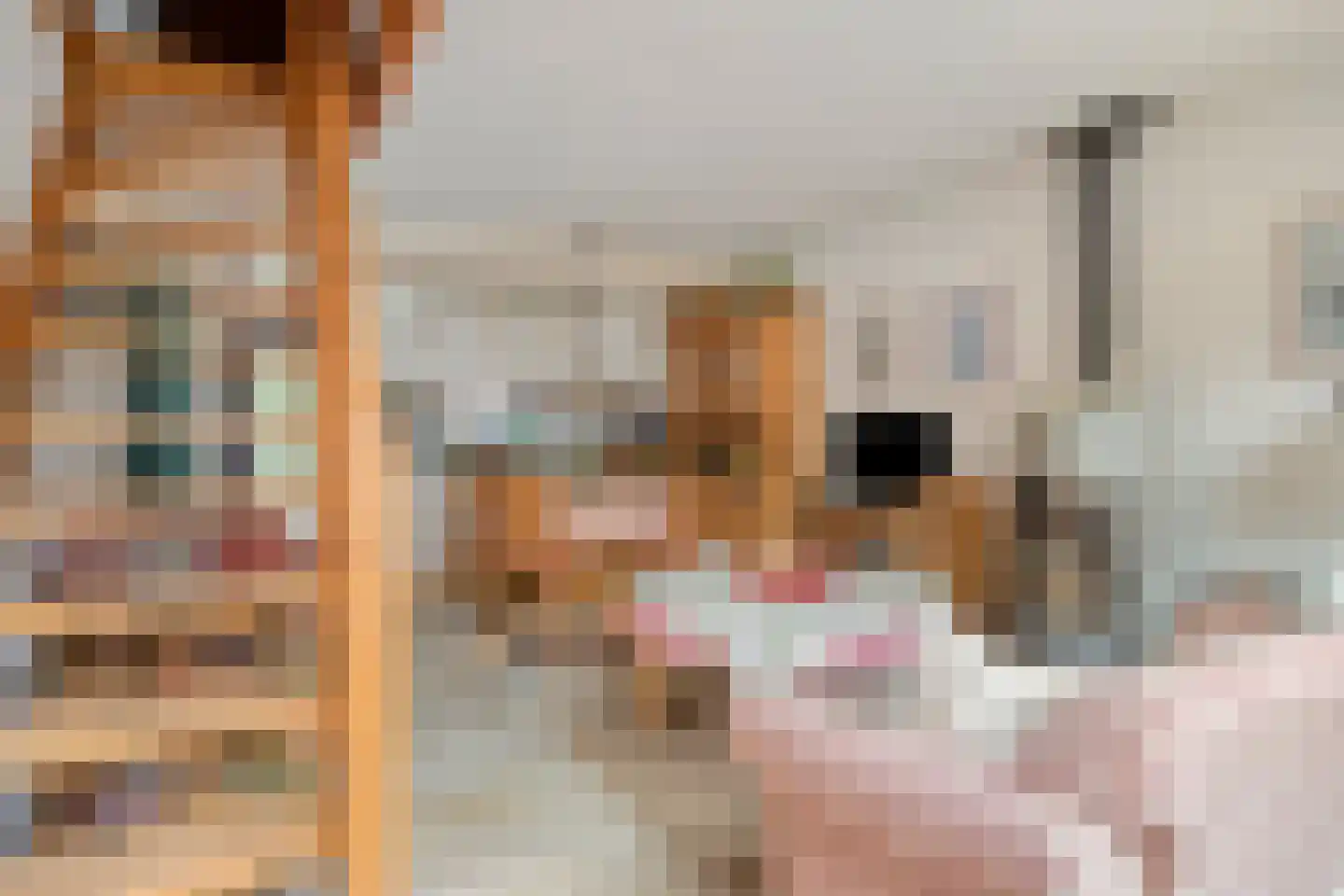 Hoogerwerfsweg "De Tong" 167 Bruinisse thumbnail 14