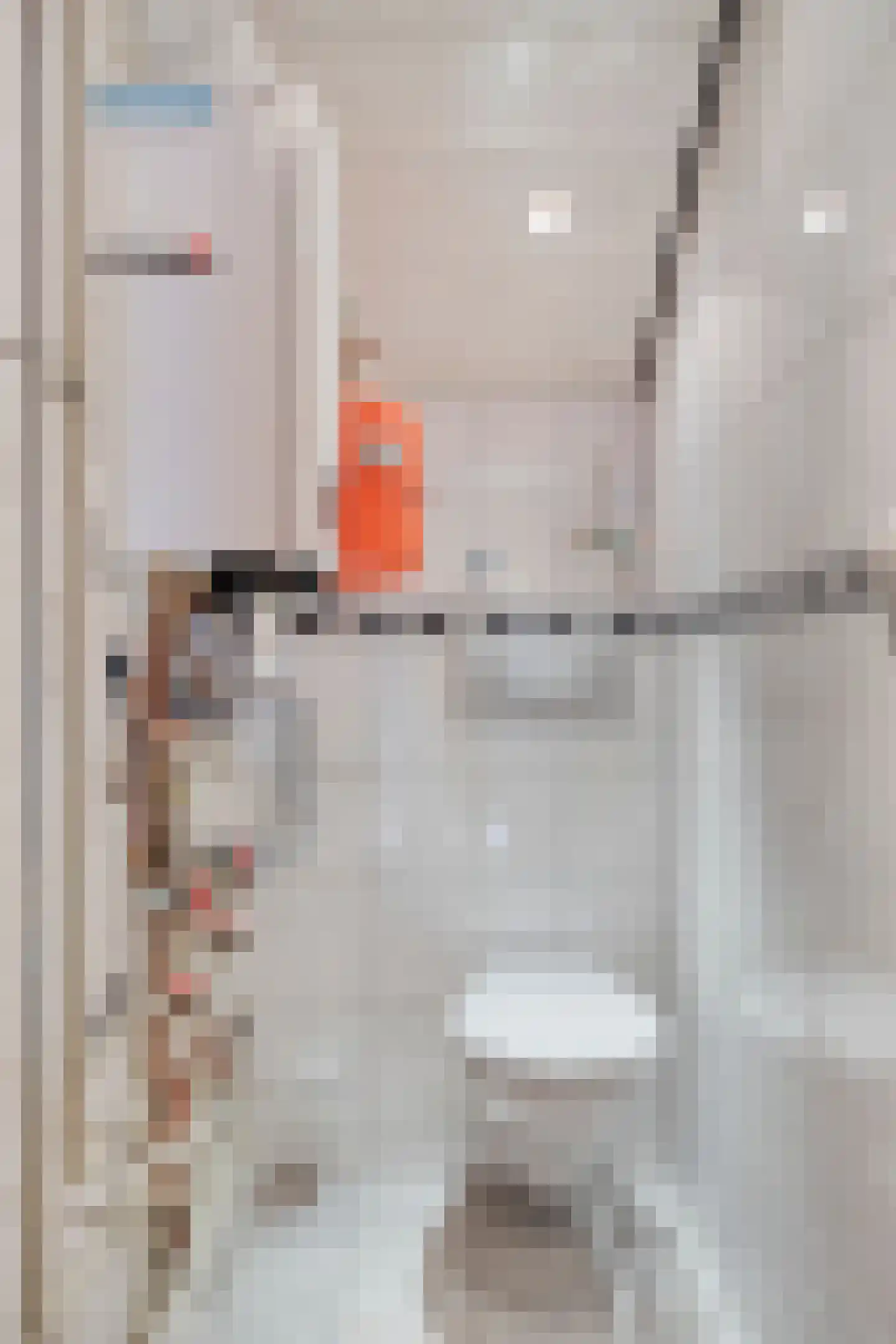 Hoogerwerfsweg "De Tong" 167 Bruinisse thumbnail 17