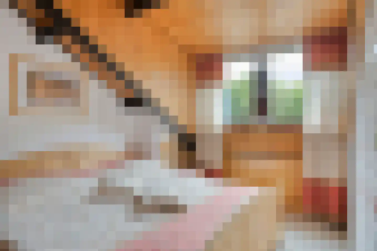 Hoogerwerfsweg "De Tong" 167 Bruinisse thumbnail 20