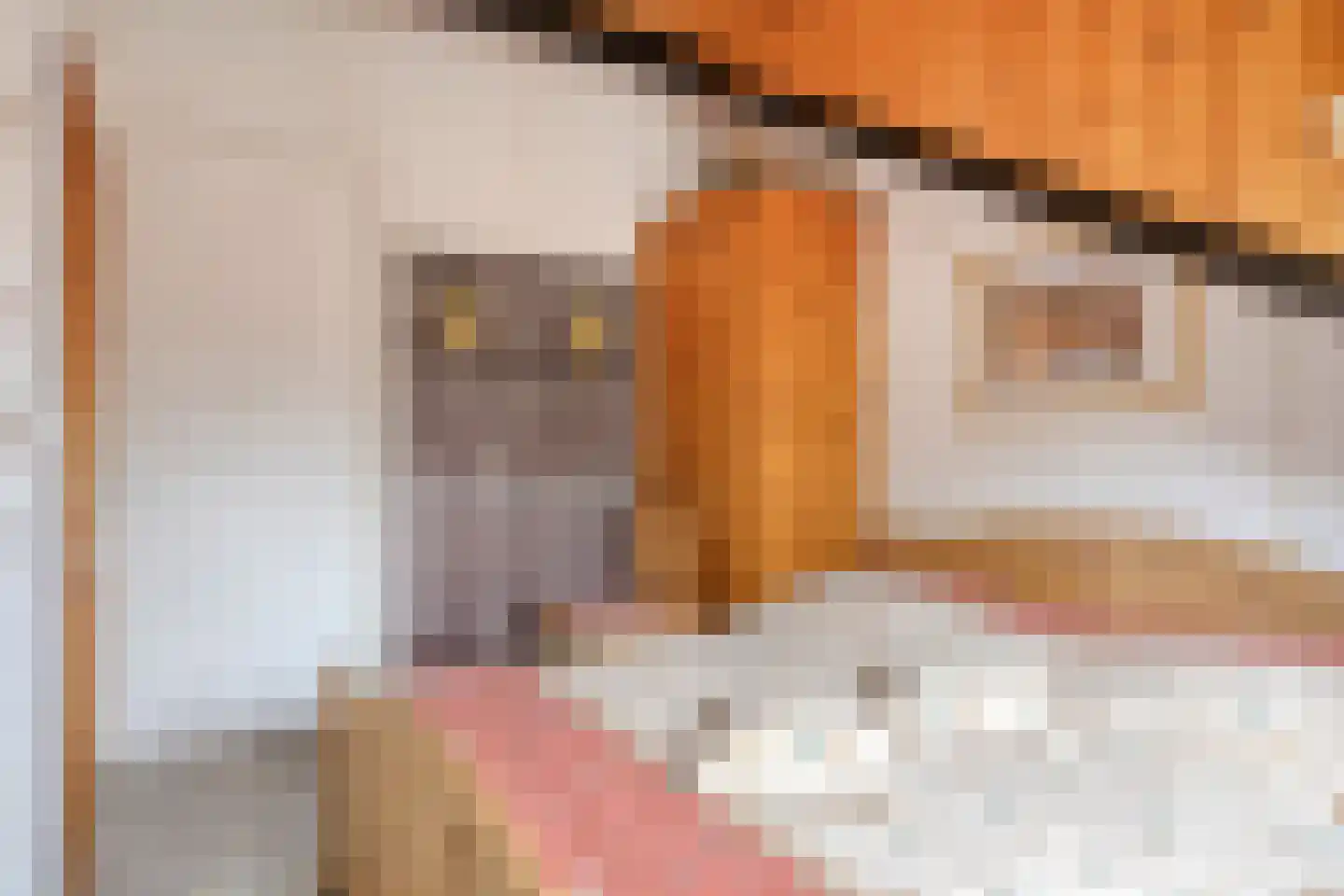 Hoogerwerfsweg "De Tong" 167 Bruinisse thumbnail 21