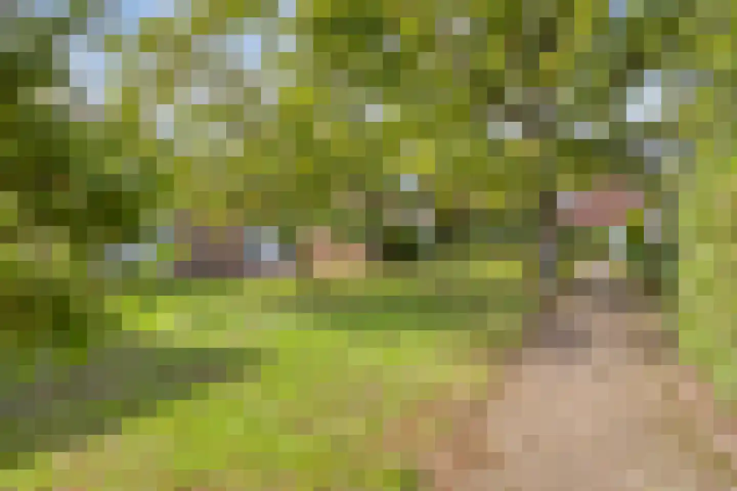 Hoogerwerfsweg "De Tong" 167 Bruinisse thumbnail 25
