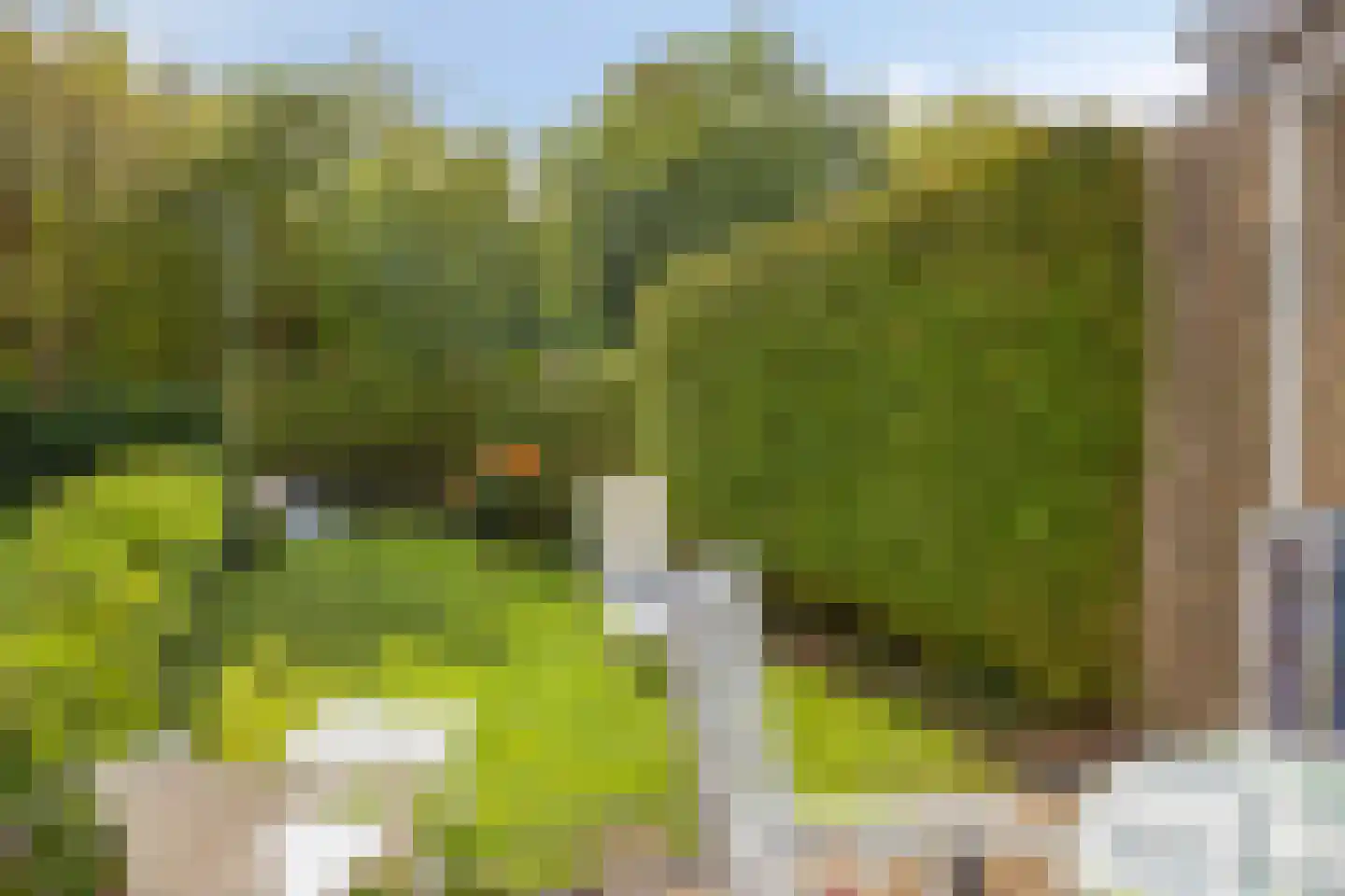Hoogerwerfsweg "De Tong" 167 Bruinisse thumbnail 7