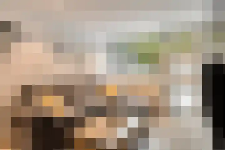 Hoogerwerfsweg "De Tong" 36 Bruinisse thumbnail 10