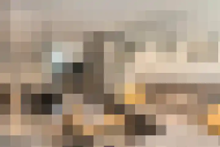 Hoogerwerfsweg "De Tong" 36 Bruinisse thumbnail 11