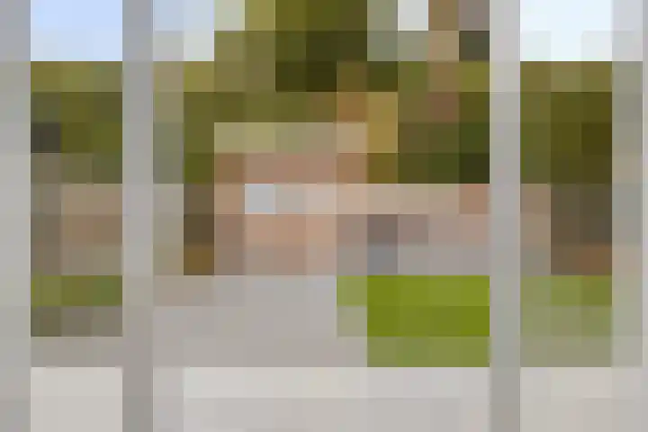 Hoogerwerfsweg "De Tong" 36 Bruinisse thumbnail 13