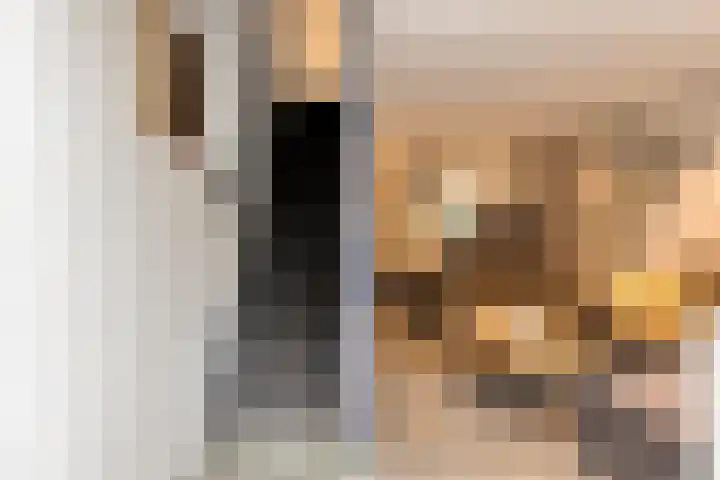 Hoogerwerfsweg "De Tong" 36 Bruinisse thumbnail 14