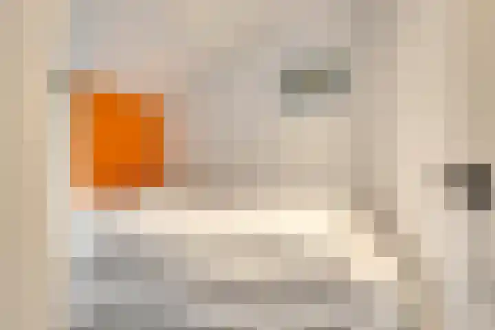 Hoogerwerfsweg "De Tong" 36 Bruinisse thumbnail 22