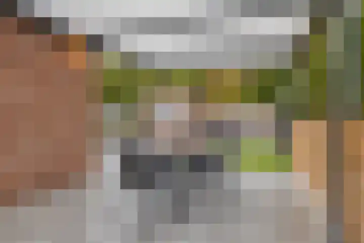 Hoogerwerfsweg "De Tong" 36 Bruinisse thumbnail 24
