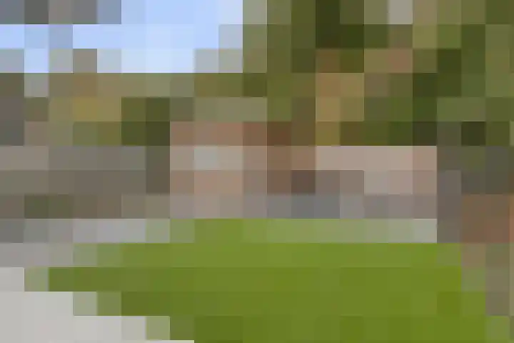 Hoogerwerfsweg "De Tong" 36 Bruinisse thumbnail 25