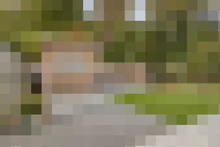 Hoogerwerfsweg "De Tong" 36 Bruinisse thumbnail 26