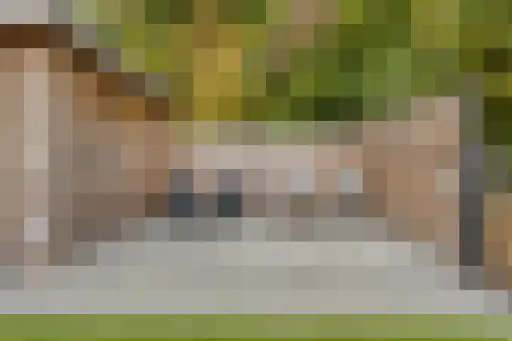 Hoogerwerfsweg "De Tong" 36 Bruinisse thumbnail 27
