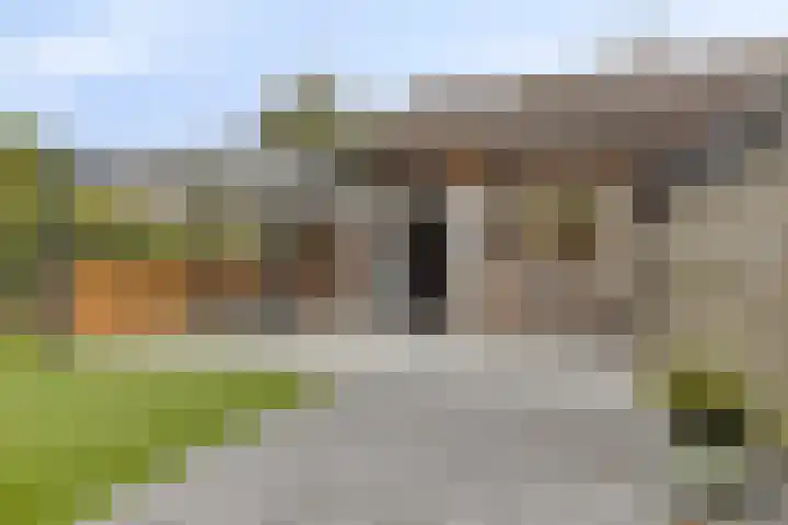 Hoogerwerfsweg "De Tong" 36 Bruinisse thumbnail 28