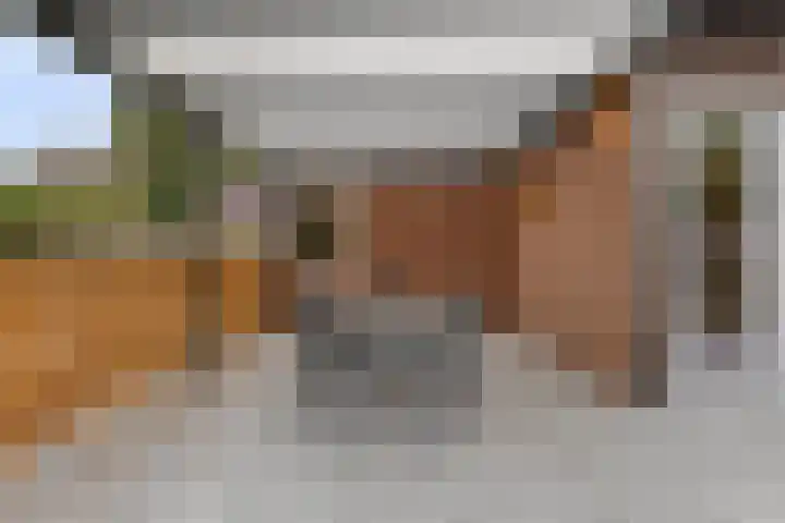Hoogerwerfsweg "De Tong" 36 Bruinisse thumbnail 29