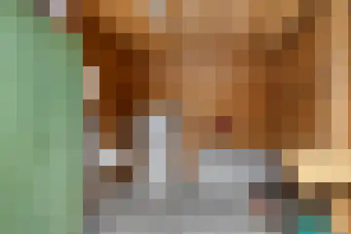 Hoogerwerfsweg "De Tong" 36 Bruinisse thumbnail 31