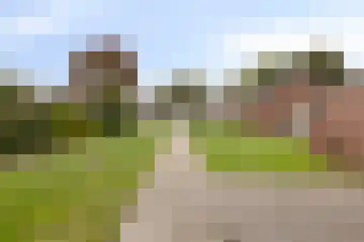 Hoogerwerfsweg "De Tong" 36 Bruinisse thumbnail 34