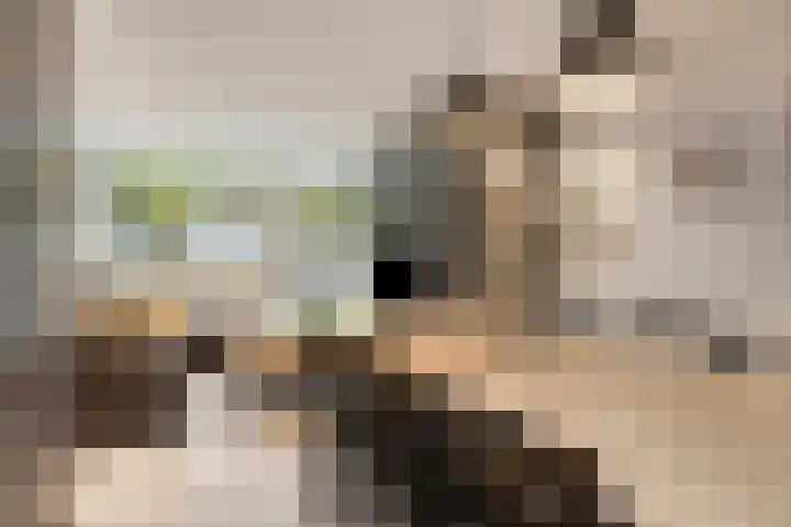 Hoogerwerfsweg "De Tong" 36 Bruinisse thumbnail 4