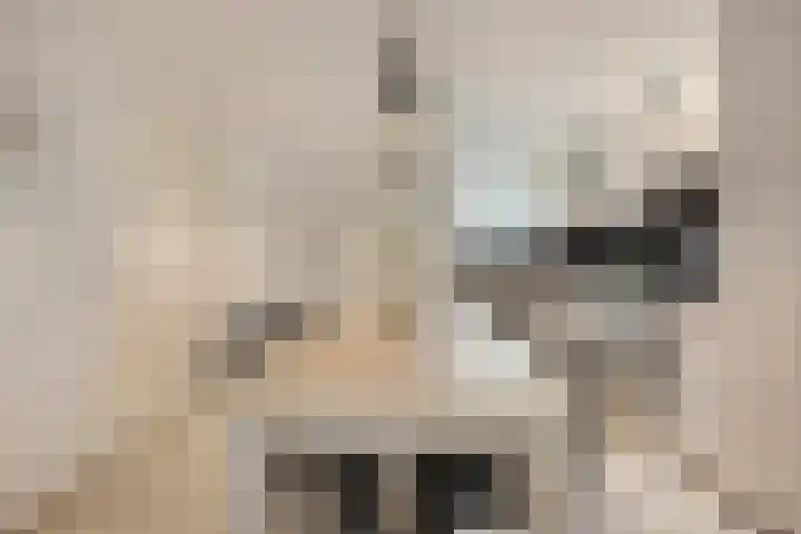 Hoogerwerfsweg "De Tong" 36 Bruinisse thumbnail 5