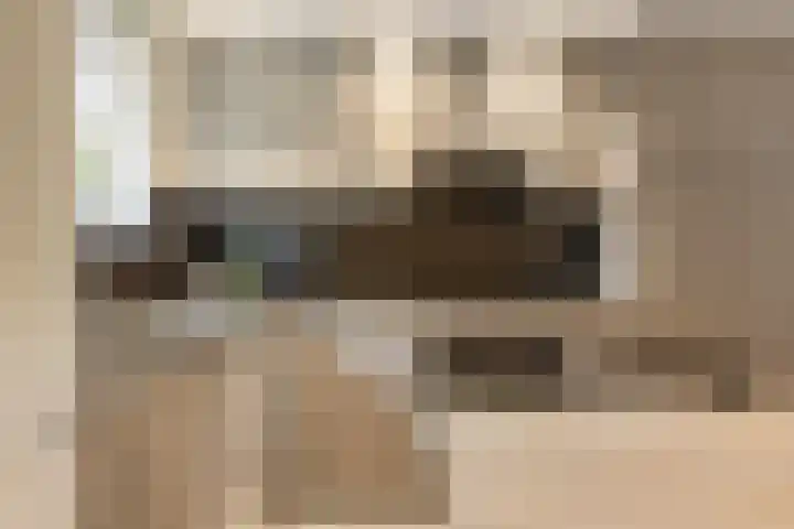 Hoogerwerfsweg "De Tong" 36 Bruinisse thumbnail 8