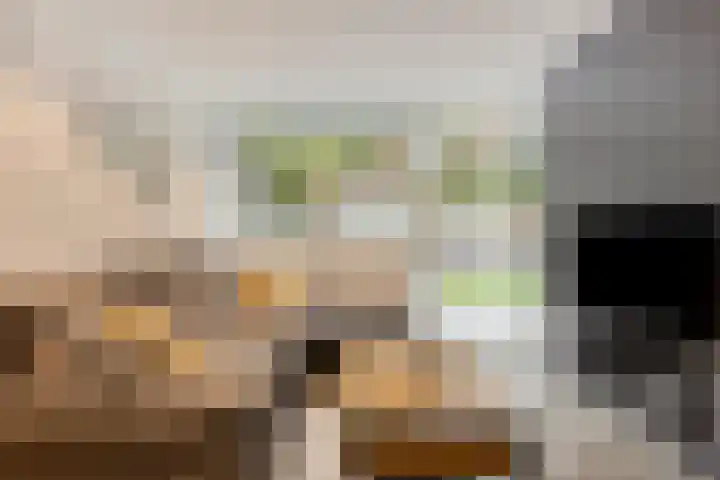 Hoogerwerfsweg "De Tong" 36 Bruinisse thumbnail 9