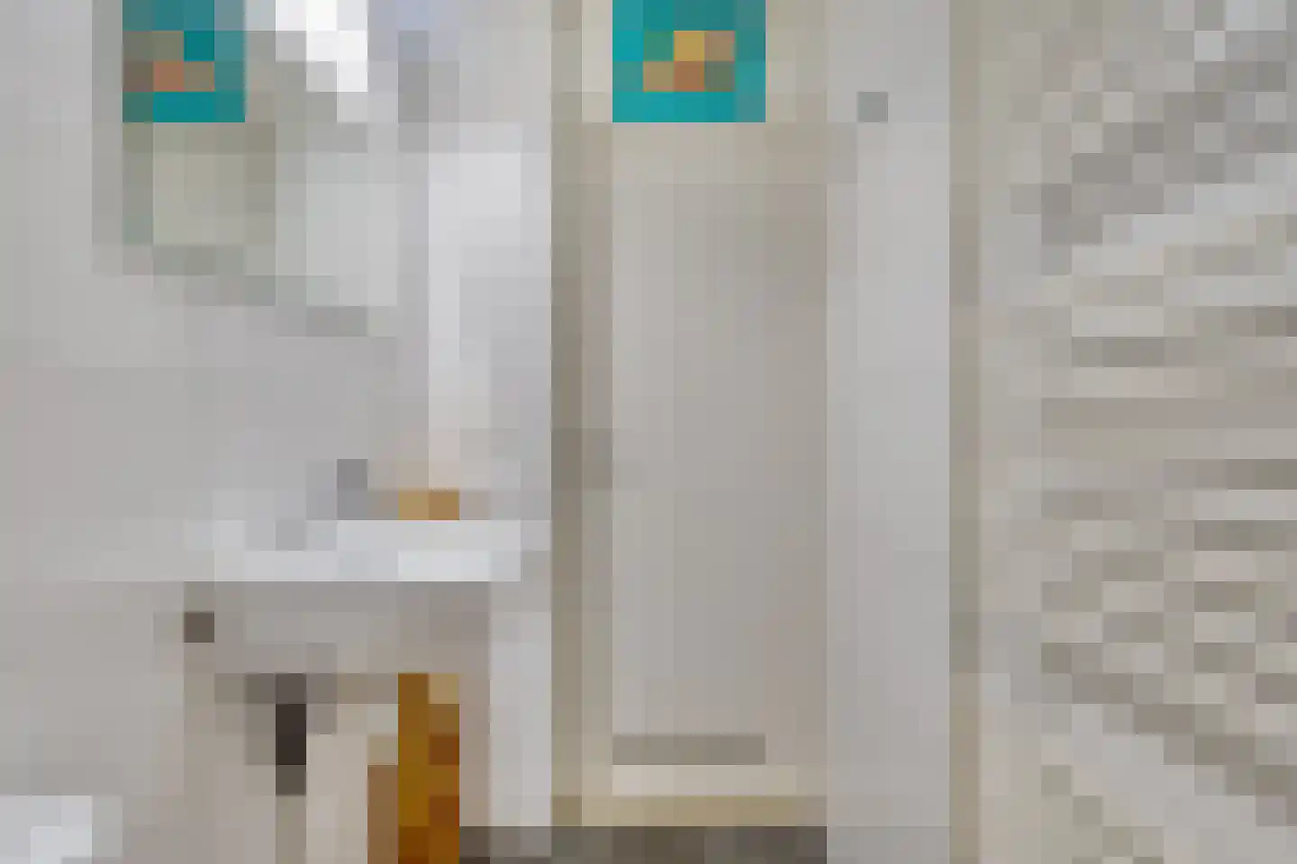Hoogerwerfsweg "De Tong" 48 Bruinisse thumbnail 10