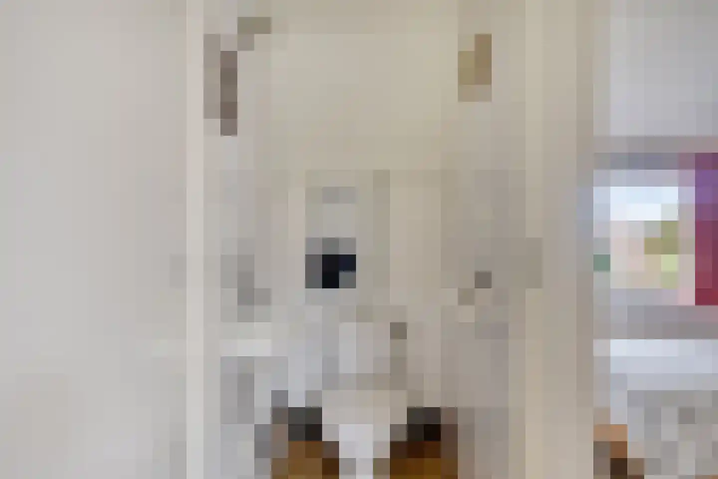 Hoogerwerfsweg "De Tong" 48 Bruinisse thumbnail 12
