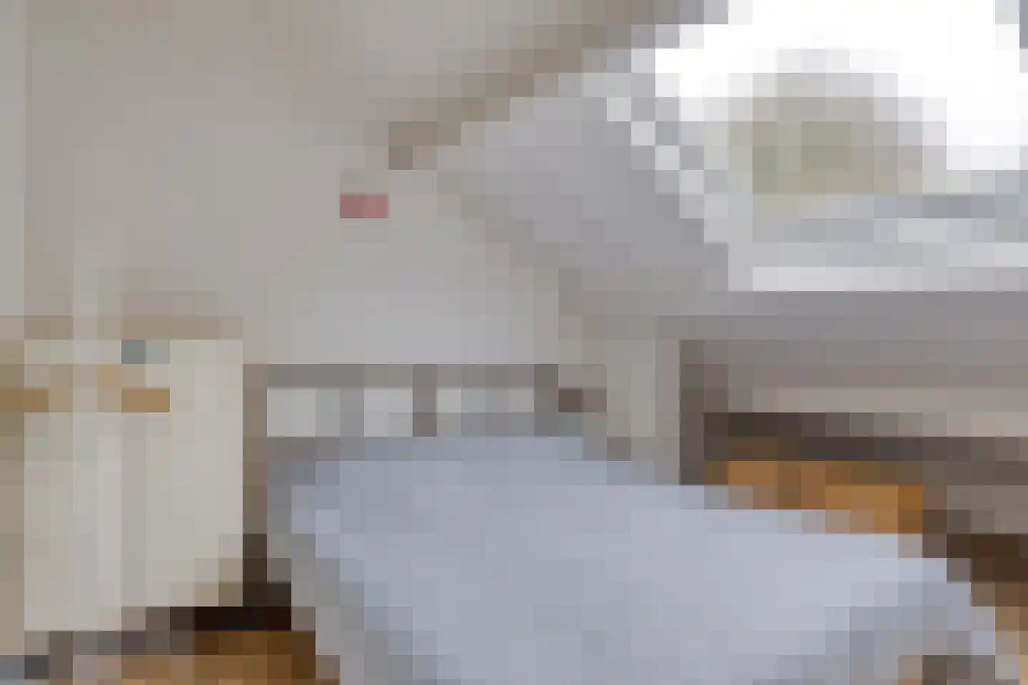 Hoogerwerfsweg "De Tong" 48 Bruinisse thumbnail 13