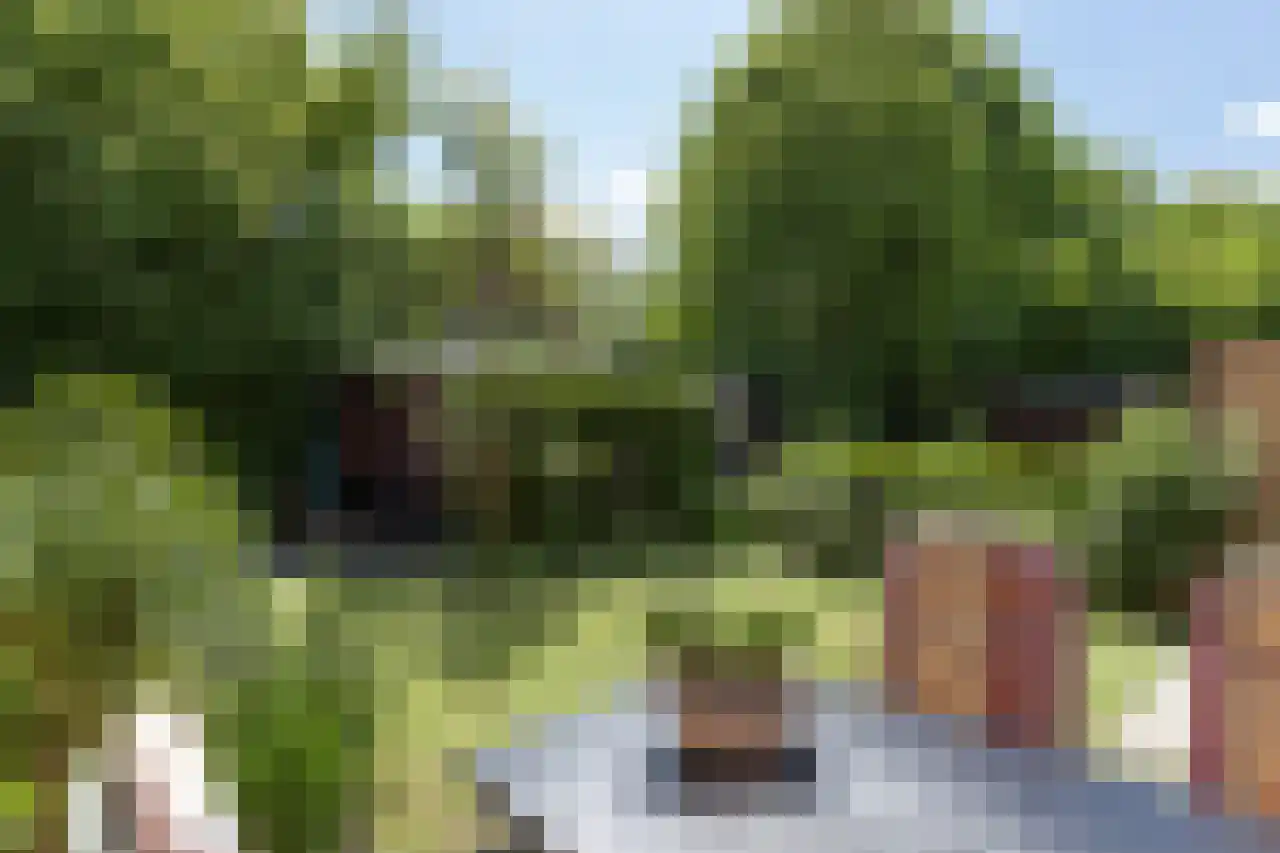 Hoogerwerfsweg "De Tong" 48 Bruinisse thumbnail 17