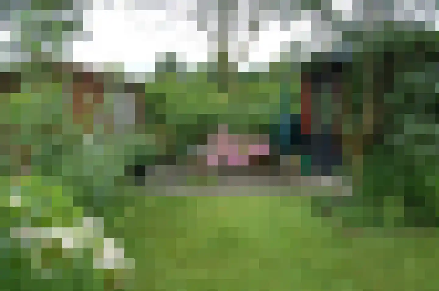 Hoogerwerfsweg "De Tong" 48 Bruinisse thumbnail 18