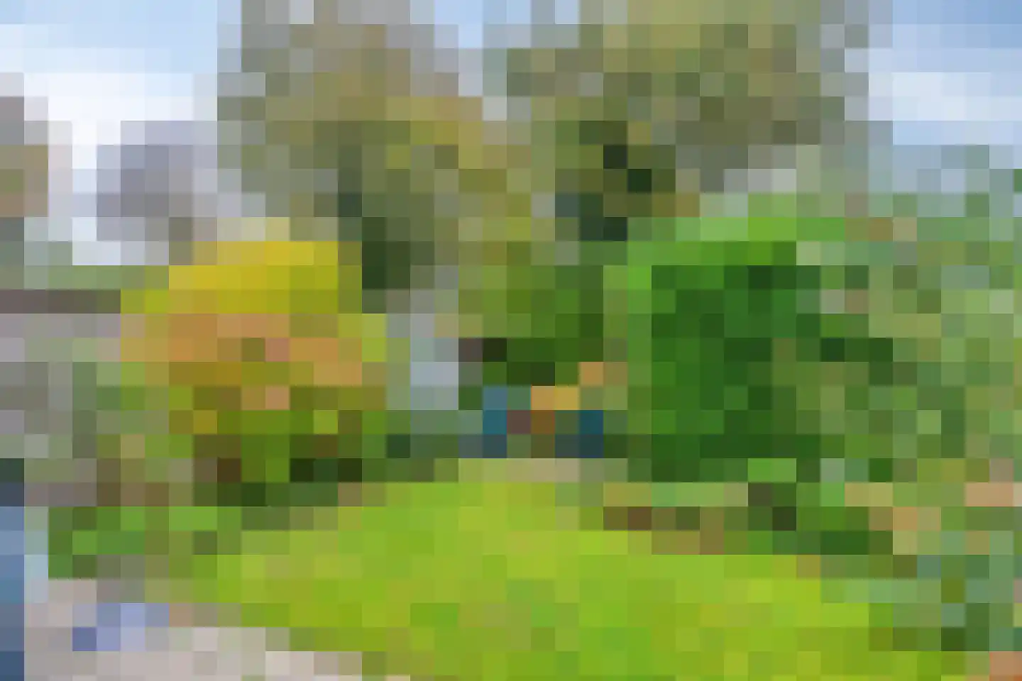 Hoogerwerfsweg "De Tong" 48 Bruinisse thumbnail 19