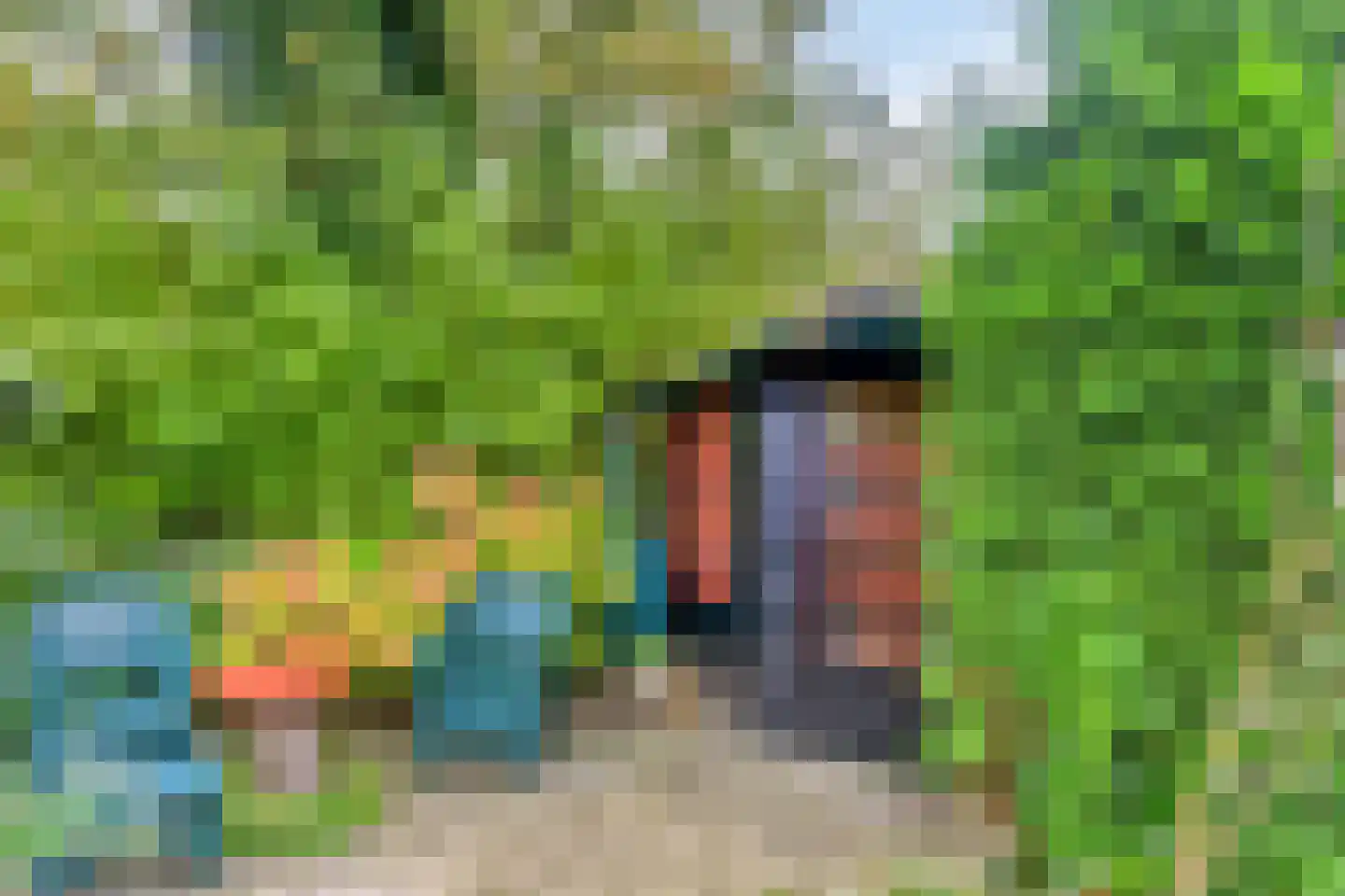 Hoogerwerfsweg "De Tong" 48 Bruinisse thumbnail 20