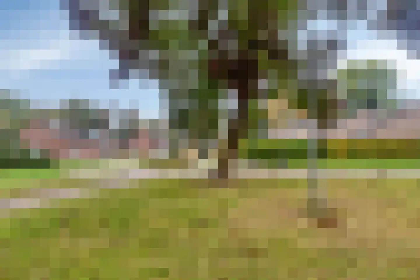 Hoogerwerfsweg "De Tong" 48 Bruinisse thumbnail 21