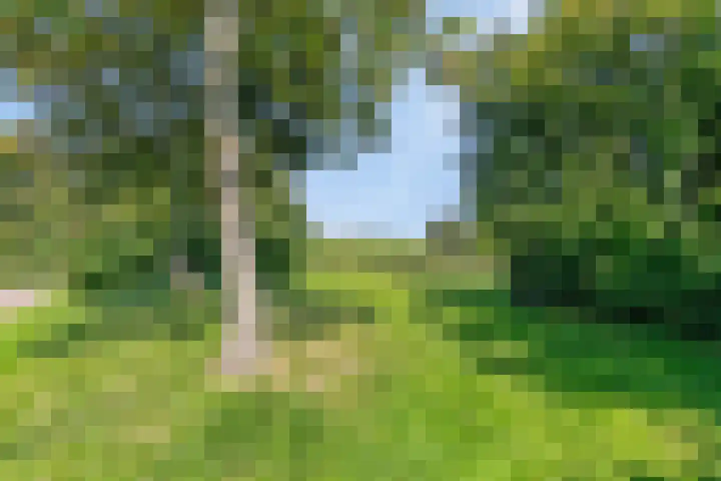 Hoogerwerfsweg "De Tong" 48 Bruinisse thumbnail 24