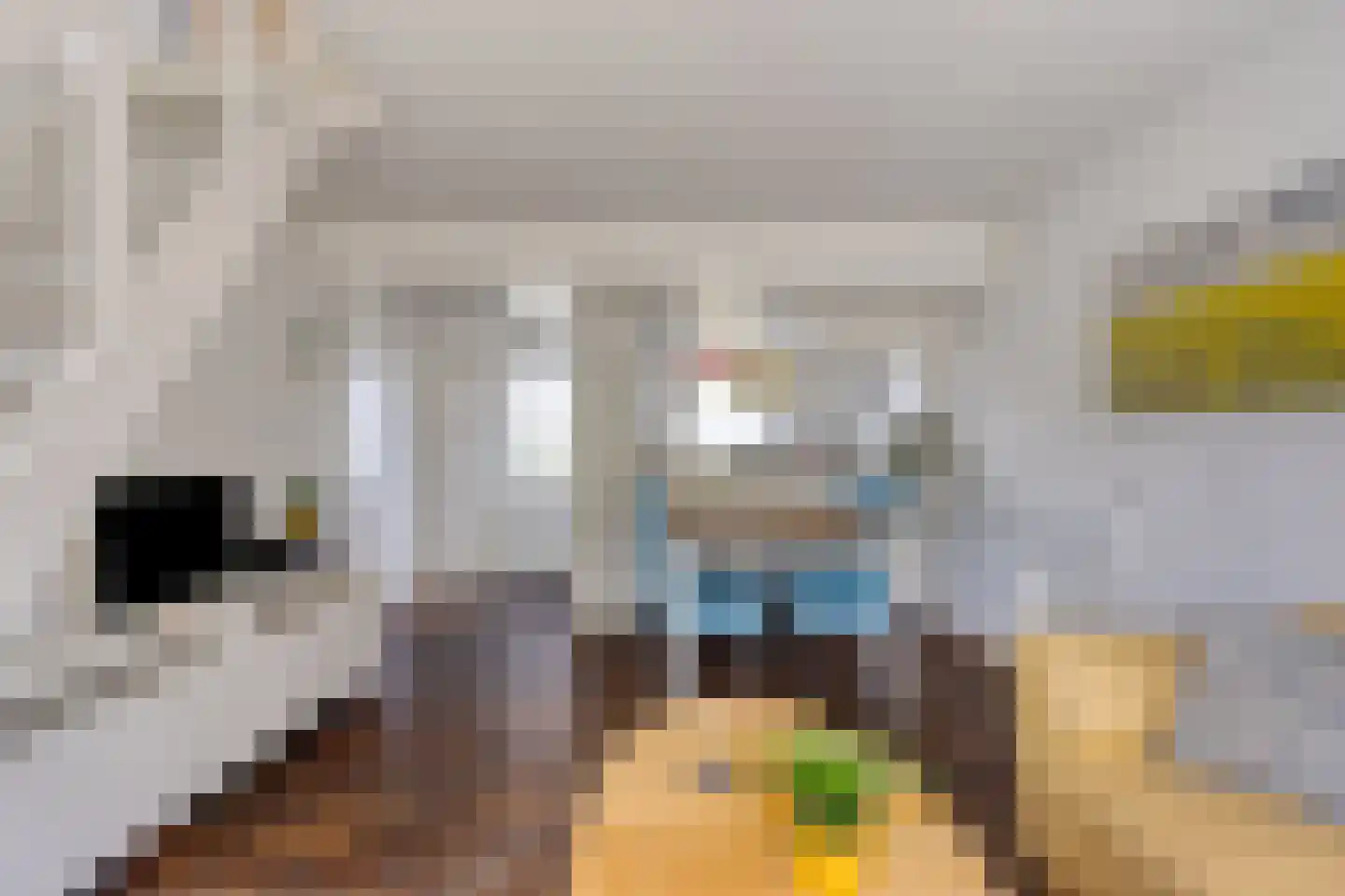 Hoogerwerfsweg "De Tong" 48 Bruinisse thumbnail 5