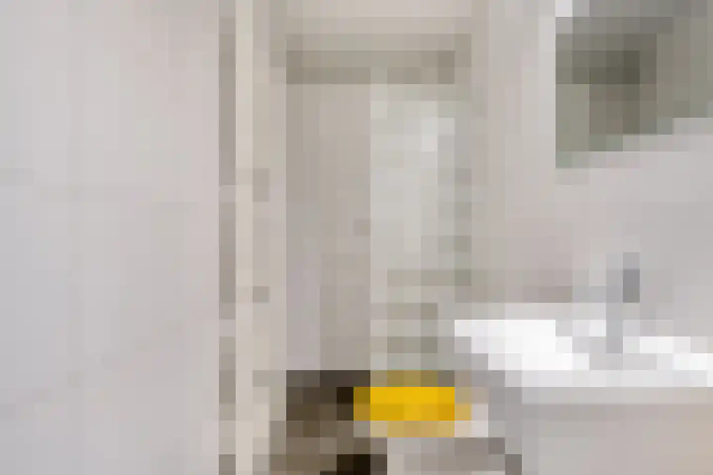 Hoogerwerfsweg "De Tong" 48 Bruinisse thumbnail 8