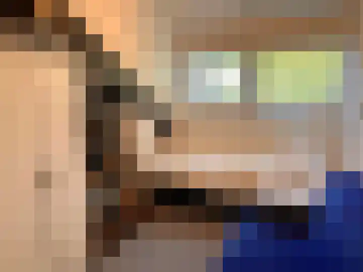 Hoogerwerfsweg "De Tong" 79 Bruinisse thumbnail 10