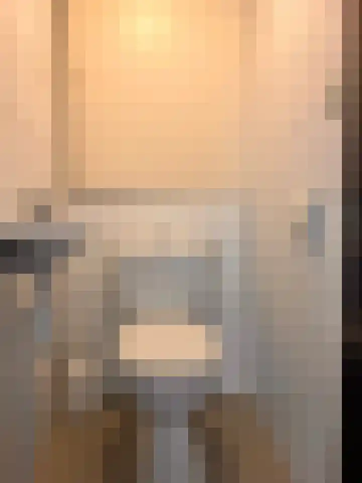 Hoogerwerfsweg "De Tong" 79 Bruinisse thumbnail 11