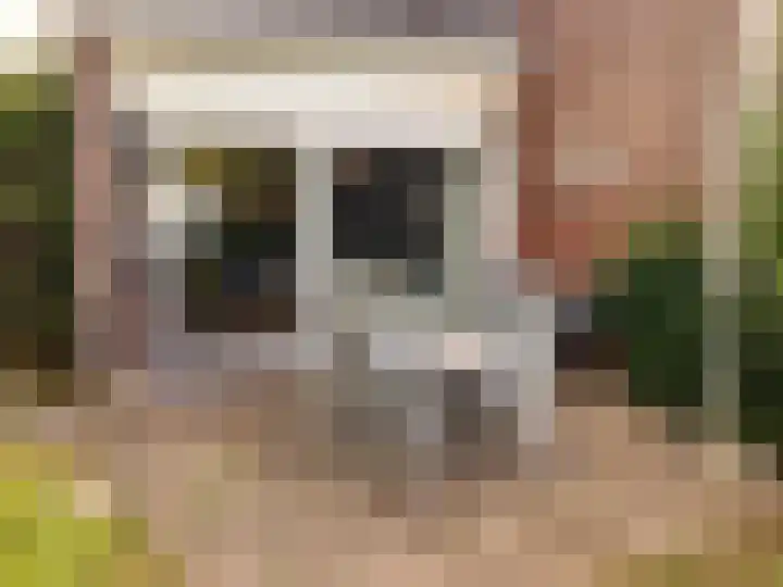 Hoogerwerfsweg "De Tong" 79 Bruinisse thumbnail 12