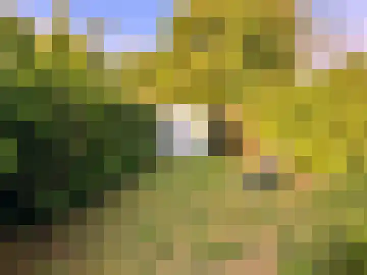 Hoogerwerfsweg "De Tong" 79 Bruinisse thumbnail 13