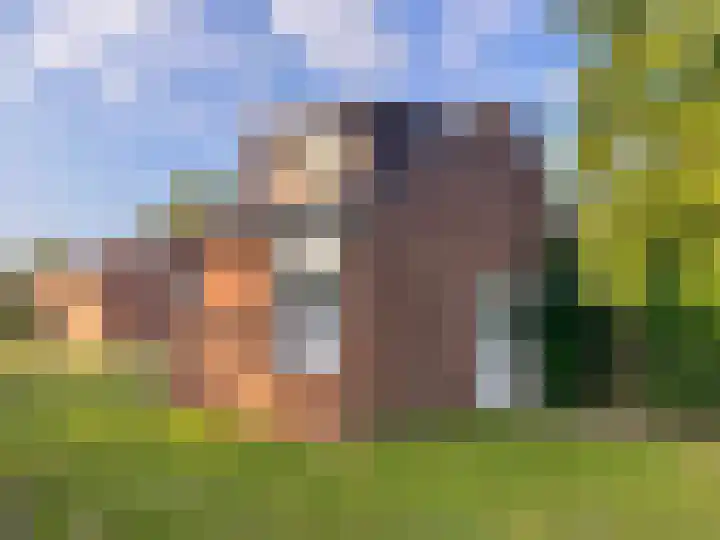 Hoogerwerfsweg "De Tong" 79 Bruinisse thumbnail 14