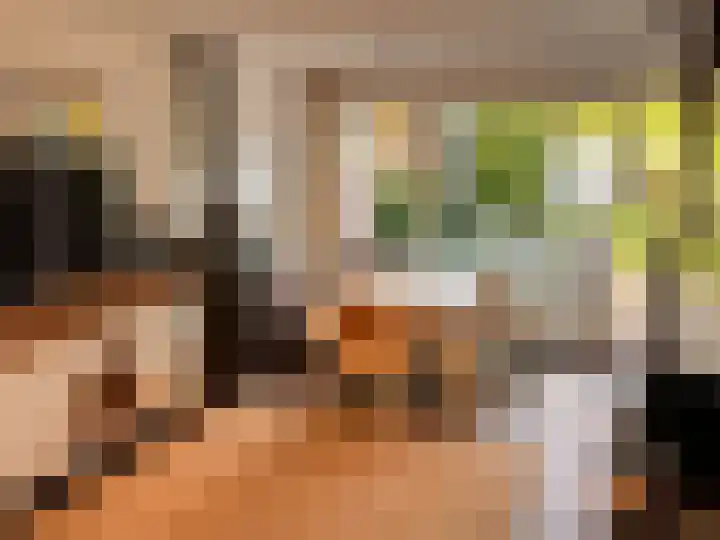 Hoogerwerfsweg "De Tong" 79 Bruinisse thumbnail 4