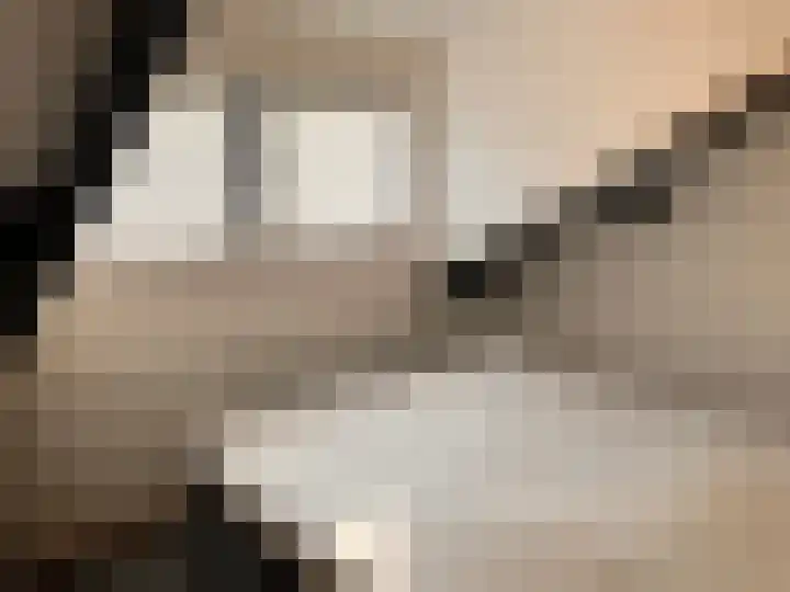 Hoogerwerfsweg "De Tong" 79 Bruinisse thumbnail 9